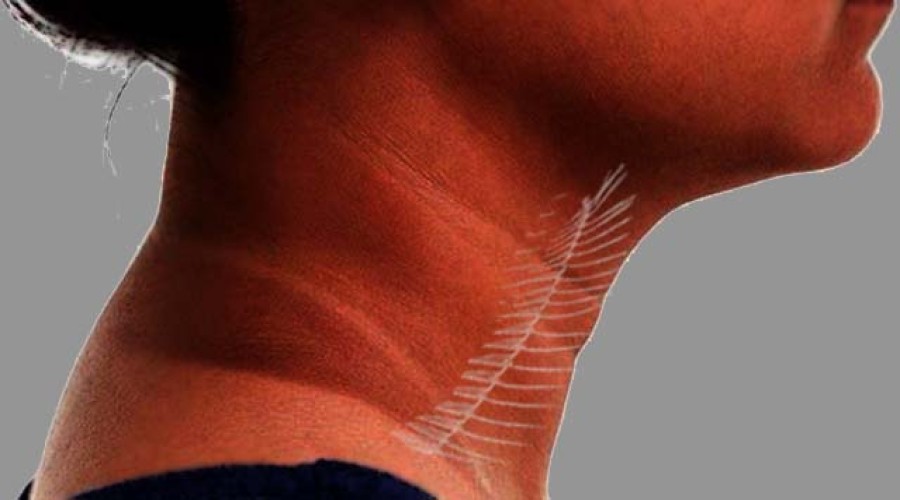 news-banner